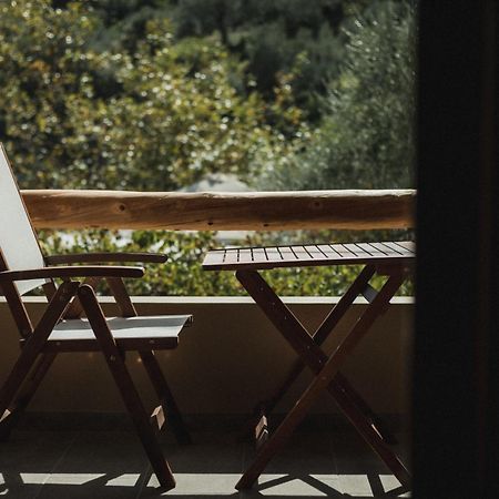 Acropolis Mystra Guesthouse Mystras Bagian luar foto